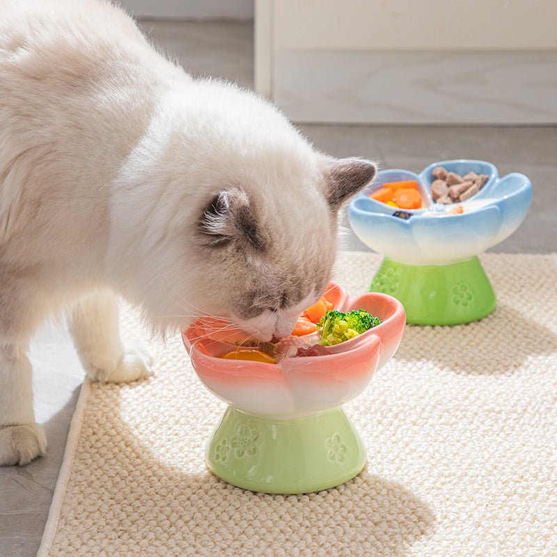 Ceramic Elevated Cat Food Bowl, Flower Shaped Anti Gulping Slow Feed for Cats & Small Dogs, Raised Ceramic Cat Bowls