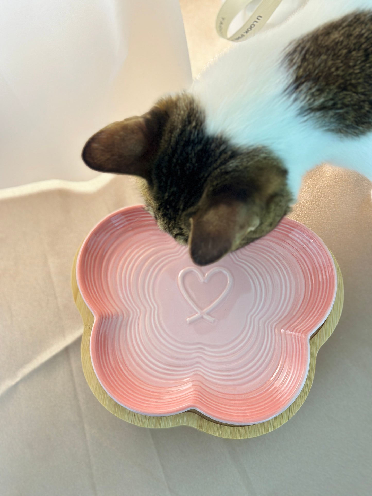Bamboo Stand for Cat Bowls,