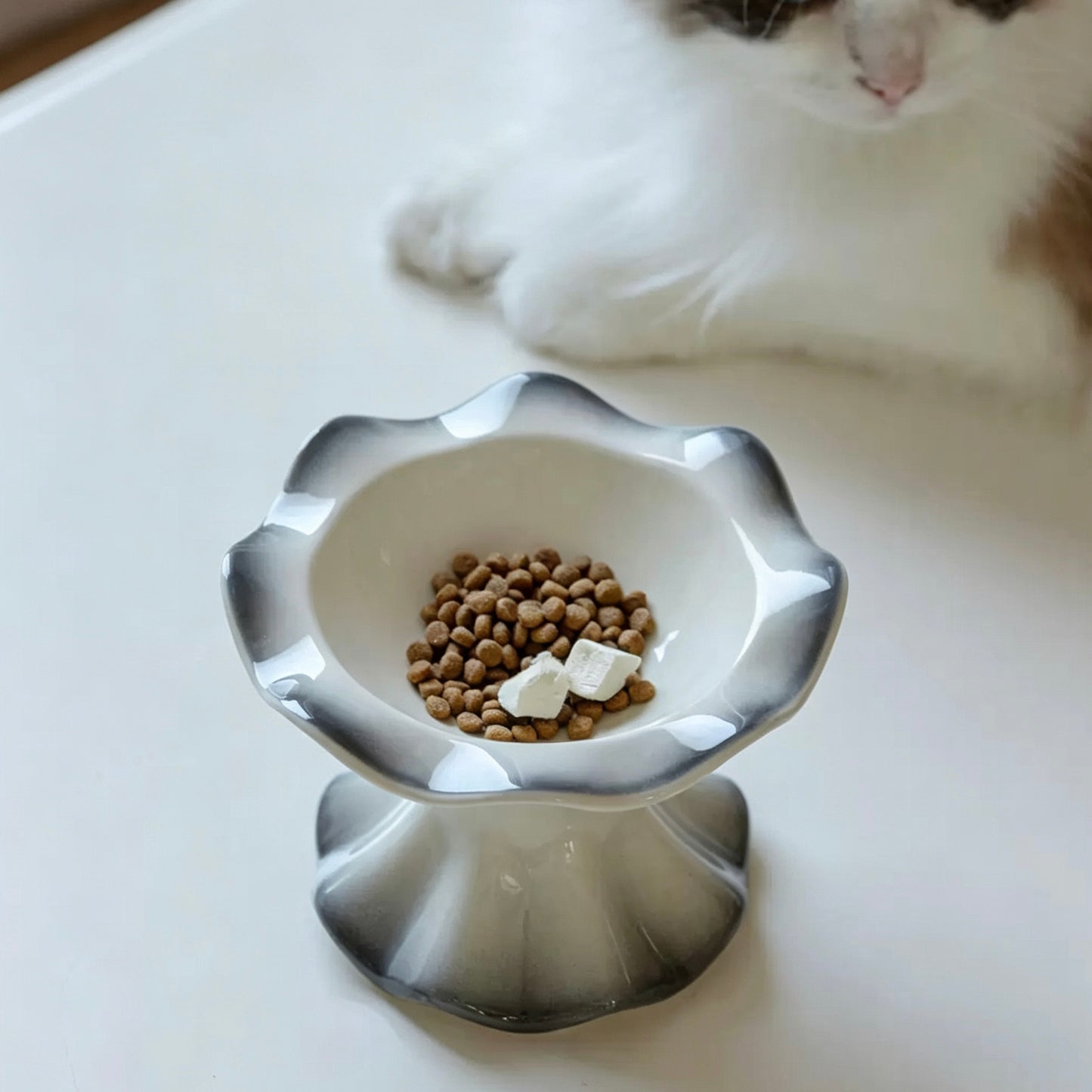 Petal Rim Elevated Cat Bowl – Ceramic Cat Feeder
