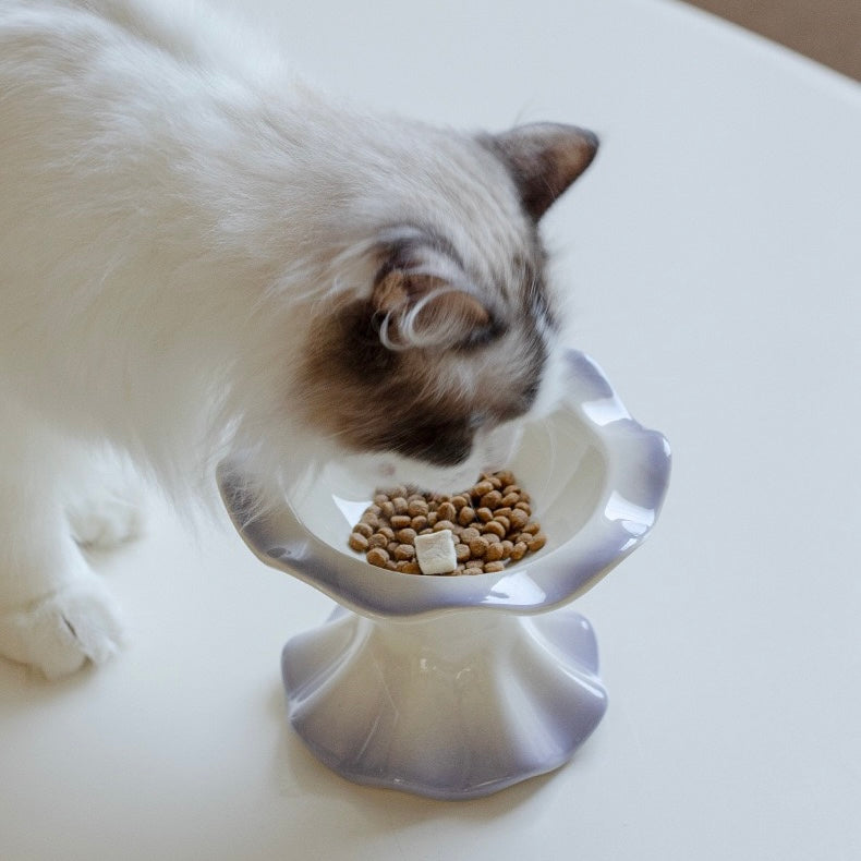Petal Rim Elevated Cat Bowl – Ceramic Cat Feeder