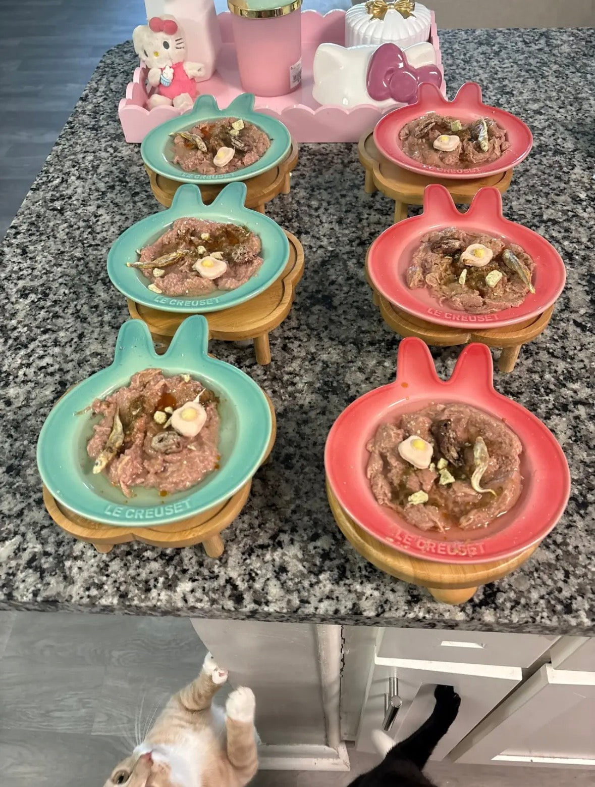 Ceramic Bunny Plate for Cat Feeding