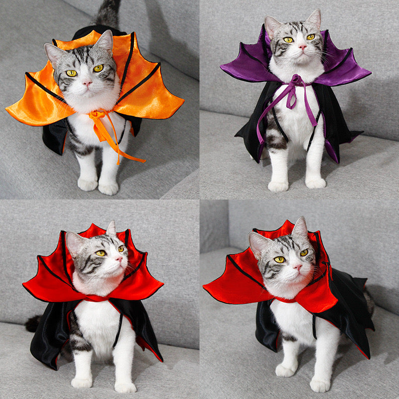 Cat vampire costume hotsell