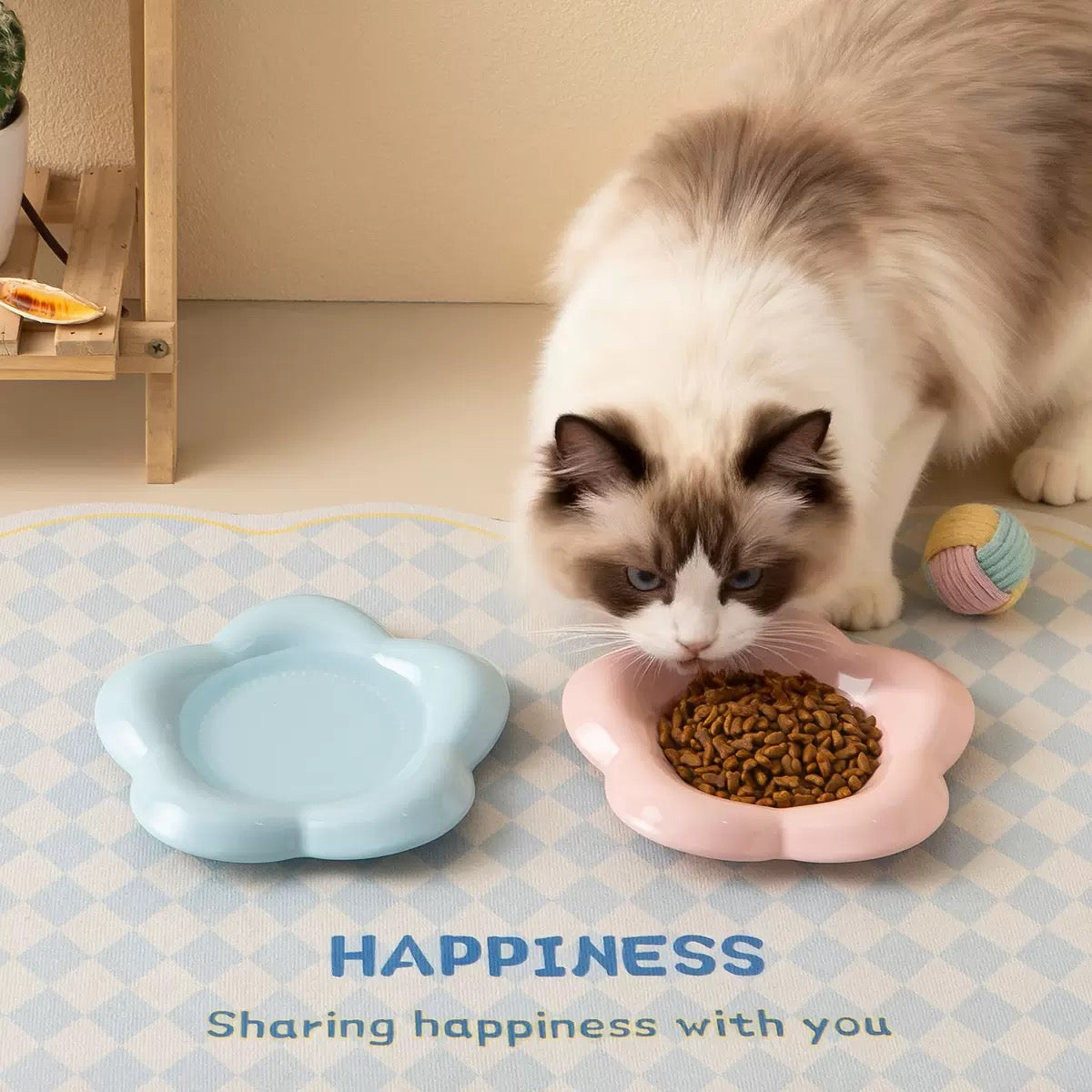 Bubble Shape Cat Plates
