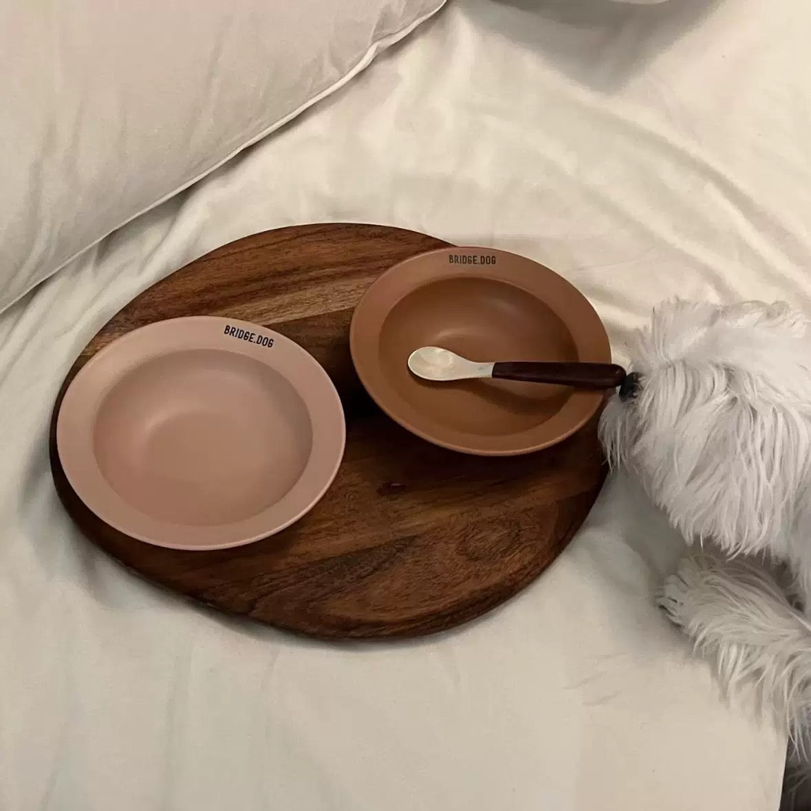Ceramic Cat Bowl – Wide Shallow Cat Food Dish, Microwave & Dishwasher Safe