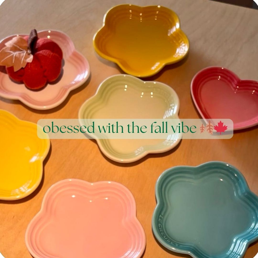 Ceramic Cat Plates Cat Food Bowls Shallow Bowls for Kitten, Ceramic Cat Plates